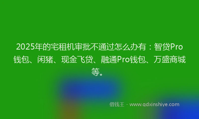 2025年的宅租机审批不通过怎么办有：智贷Pro钱包、闲猪、现金飞贷、融通Pro钱包、万盛商城等。