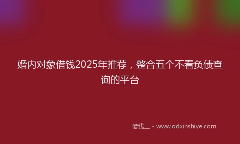 婚内对象借钱2025年推荐，整合五个不看负债查询的平台