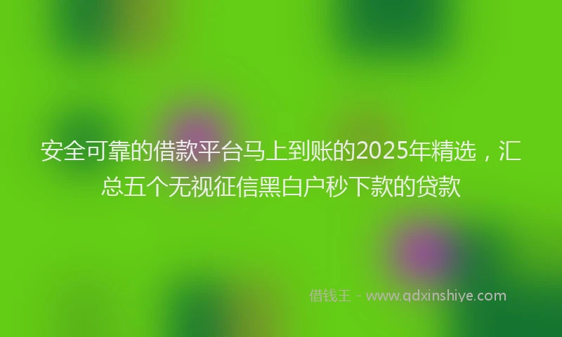 安全可靠的借款平台马上到账的2025年精选，汇总五个无视征信黑白户秒下款的贷款