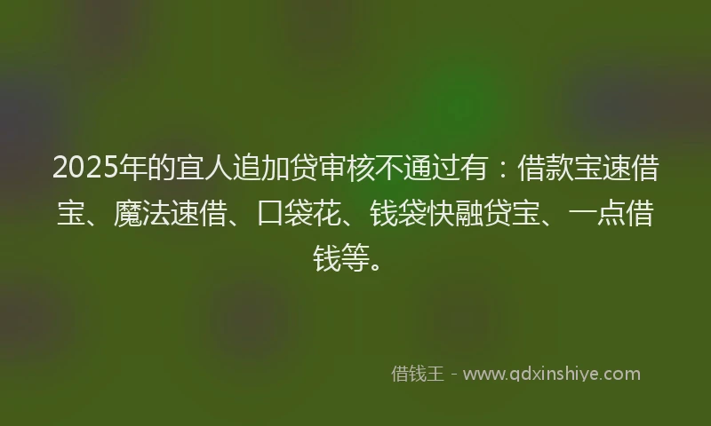 2025年的宜人追加贷审核不通过有：借款宝速借宝、魔法速借、口袋花、钱袋快融贷宝、一点借钱等。