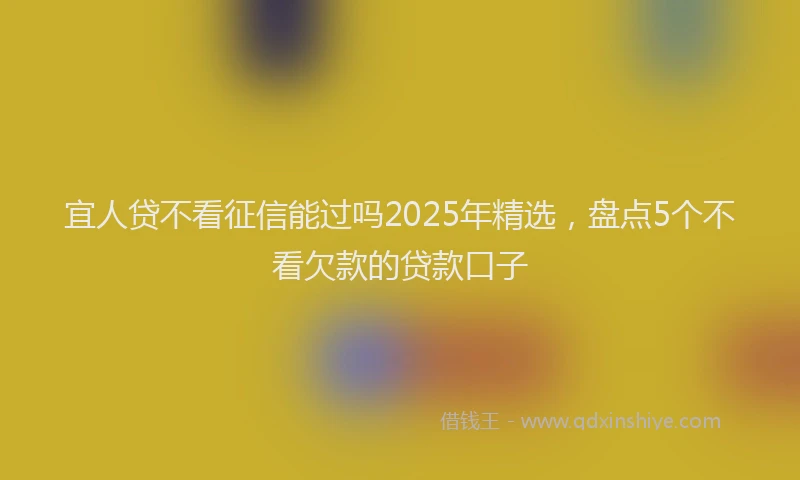 宜人贷不看征信能过吗2025年精选，盘点5个不看欠款的贷款口子