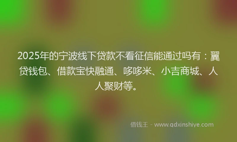 2025年的宁波线下贷款不看征信能通过吗有：翼贷钱包、借款宝快融通、哆哆米、小吉商城、人人聚财等。