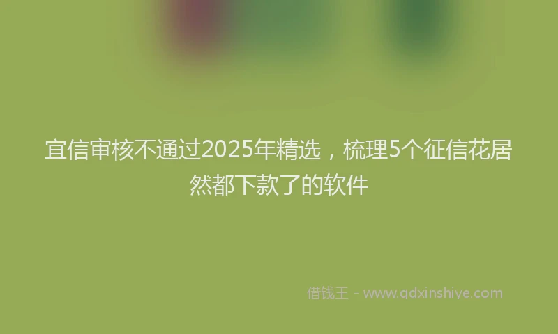 宜信审核不通过2025年精选，梳理5个征信花居然都下款了的软件