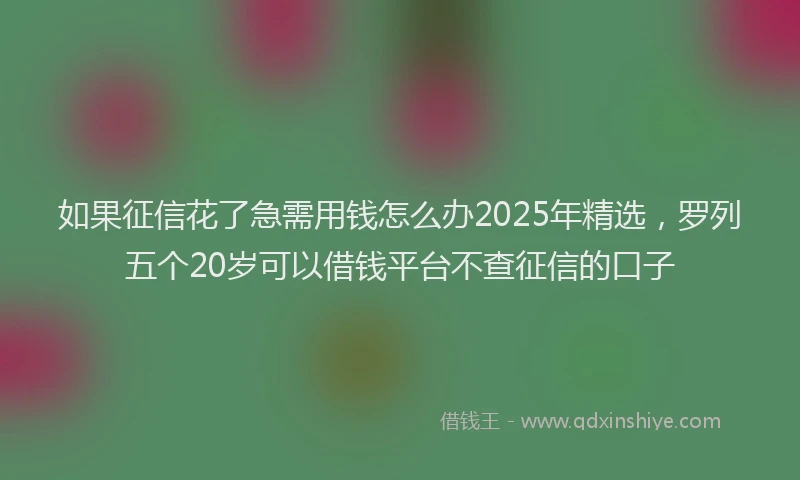 如果征信花了急需用钱怎么办2025年精选，罗列五个20岁可以借钱平台不查征信的口子