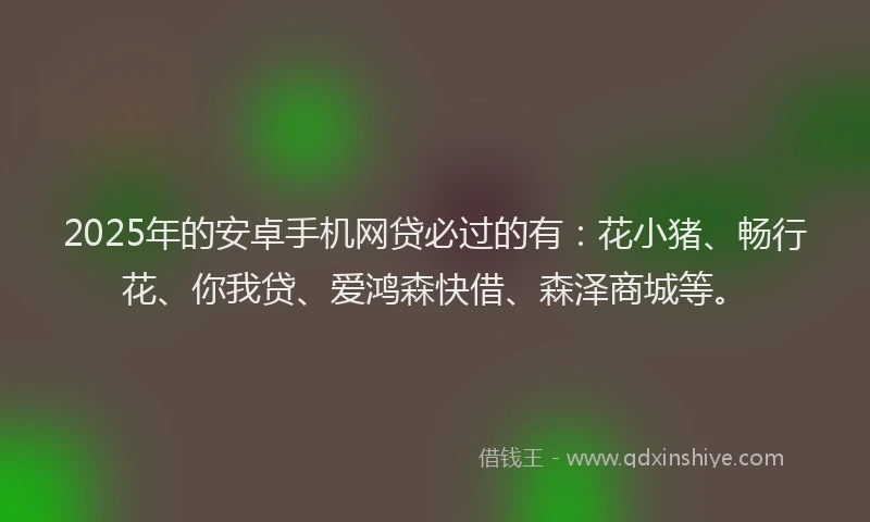2025年的安卓手机网贷必过的有：花小猪、畅行花、你我贷、爱鸿森快借、森泽商城等。