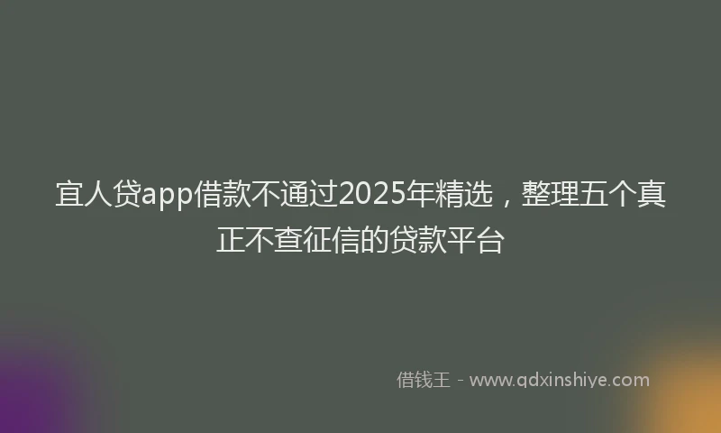 宜人贷app借款不通过2025年精选，整理五个真正不查征信的贷款平台