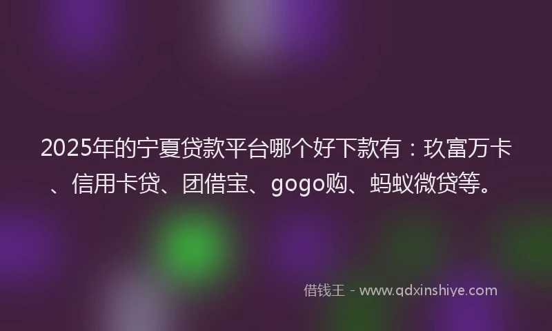 2025年的宁夏贷款平台哪个好下款有：玖富万卡、信用卡贷、团借宝、gogo购、蚂蚁微贷等。