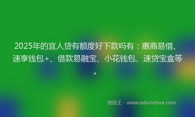 2025年的宜人贷有额度好下款吗有：惠商易借、速享钱包+、借款易融宝、小花钱包、速贷宝盒等。