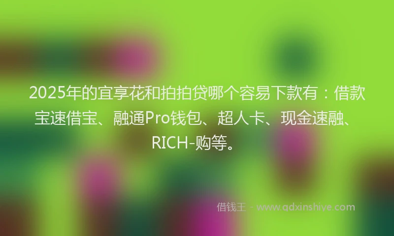 2025年的宜享花和拍拍贷哪个容易下款有：借款宝速借宝、融通Pro钱包、超人卡、现金速融、RICH-购等。