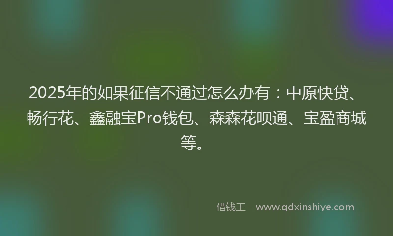 2025年的如果征信不通过怎么办有：中原快贷、畅行花、鑫融宝Pro钱包、森森花呗通、宝盈商城等。