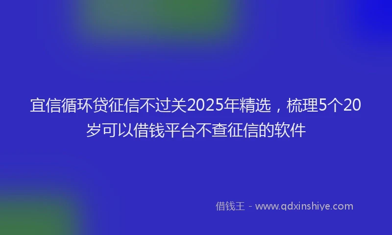 宜信循环贷征信不过关2025年精选，梳理5个20岁可以借钱平台不查征信的软件