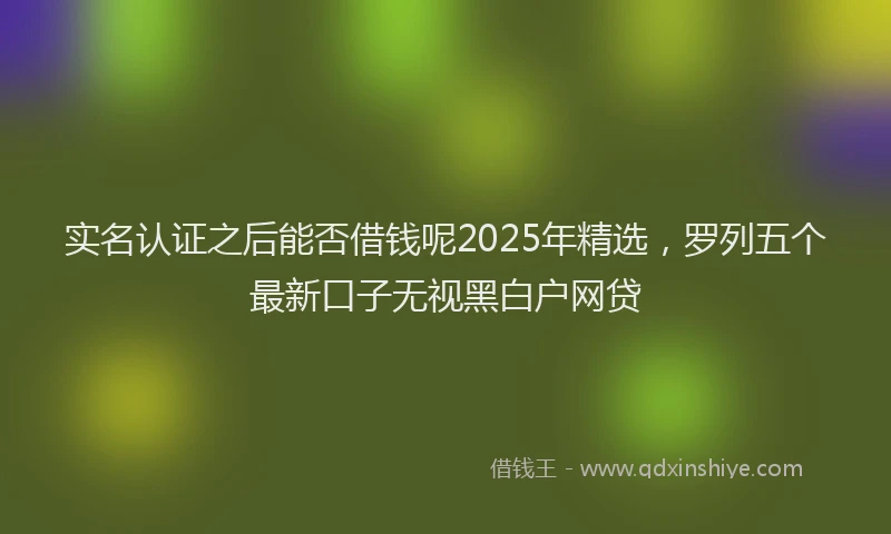 实名认证之后能否借钱呢2025年精选，罗列五个最新口子无视黑白户网贷