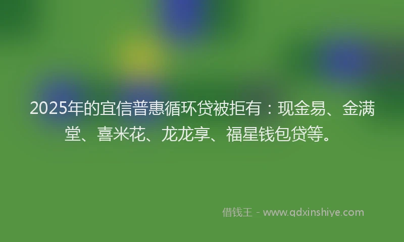 2025年的宜信普惠循环贷被拒有：现金易、金满堂、喜米花、龙龙享、福星钱包贷等。