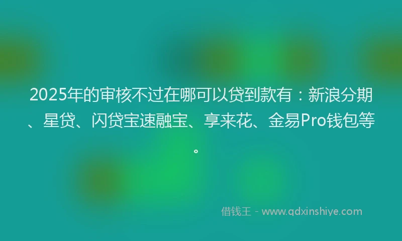 2025年的审核不过在哪可以贷到款有：新浪分期、星贷、闪贷宝速融宝、享来花、金易Pro钱包等。