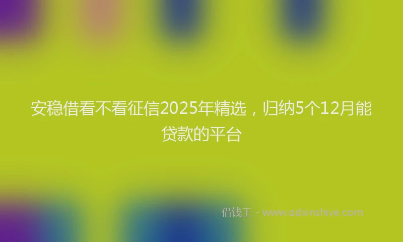 安稳借看不看征信2025年精选，归纳5个12月能贷款的平台