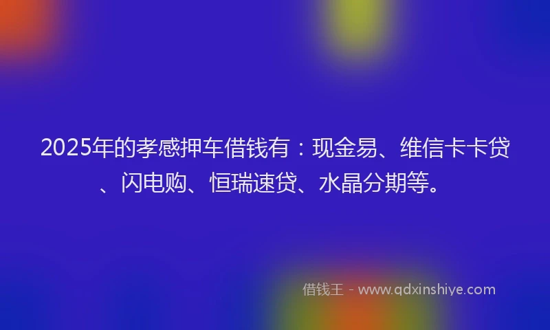 2025年的孝感押车借钱有：现金易、维信卡卡贷、闪电购、恒瑞速贷、水晶分期等。