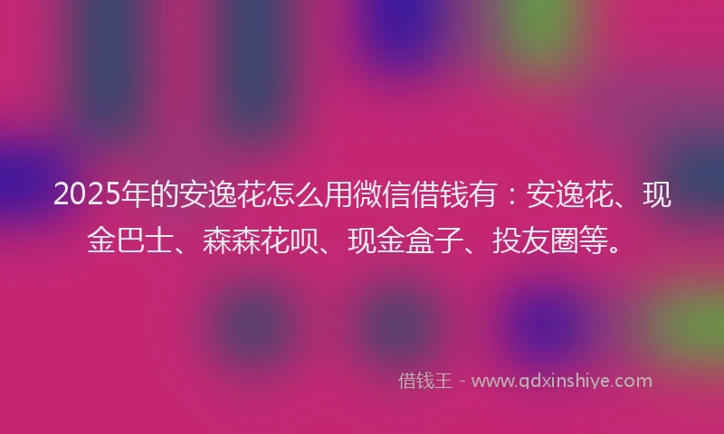 2025年的安逸花怎么用微信借钱有：安逸花、现金巴士、森森花呗、现金盒子、投友圈等。