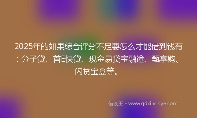 2025年的如果综合评分不足要怎么才能借到钱有：分子贷、首E快贷、现金易贷宝融途、甄享购、闪贷宝盒等。