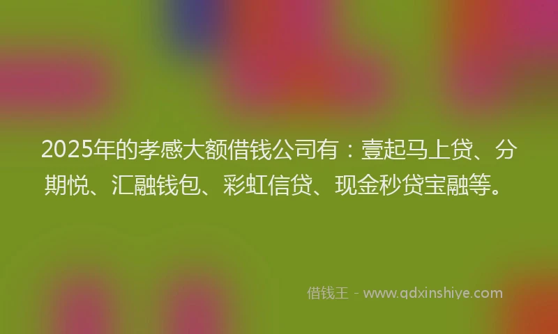 2025年的孝感大额借钱公司有：壹起马上贷、分期悦、汇融钱包、彩虹信贷、现金秒贷宝融等。