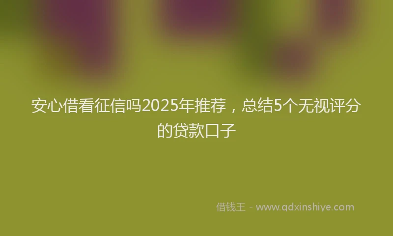 安心借看征信吗2025年推荐，总结5个无视评分的贷款口子