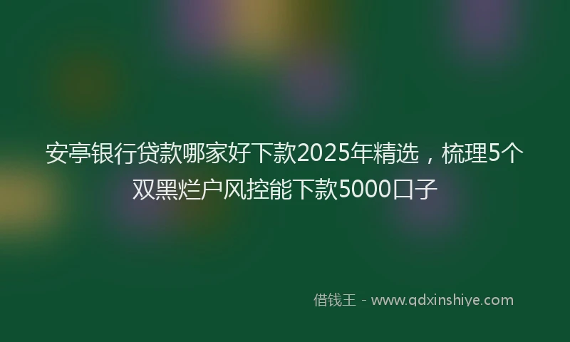 安亭银行贷款哪家好下款2025年精选，梳理5个双黑烂户风控能下款5000口子