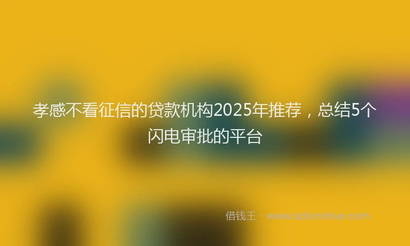 孝感不看征信的贷款机构2025年推荐，总结5个闪电审批的平台