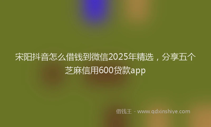 宋阳抖音怎么借钱到微信2025年精选，分享五个芝麻信用600贷款app