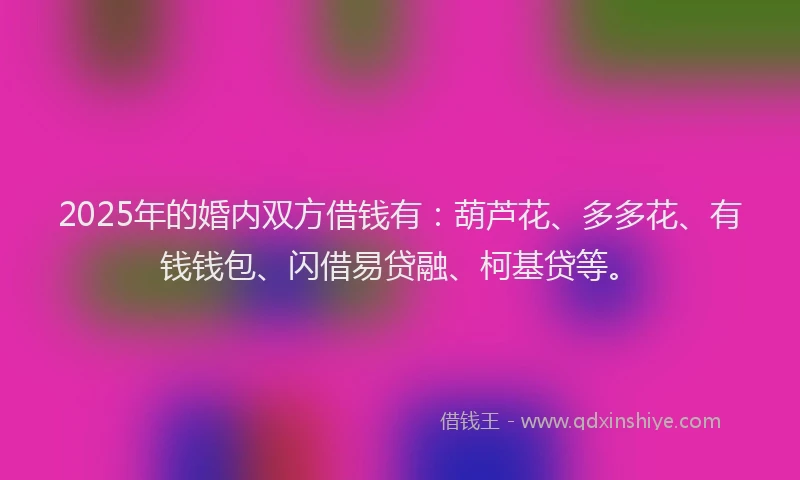 2025年的婚内双方借钱有：葫芦花、多多花、有钱钱包、闪借易贷融、柯基贷等。