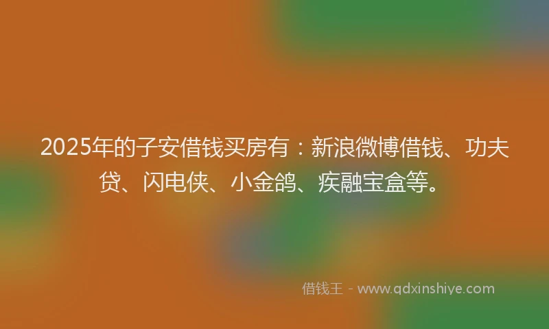 2025年的子安借钱买房有：新浪微博借钱、功夫贷、闪电侠、小金鸽、疾融宝盒等。