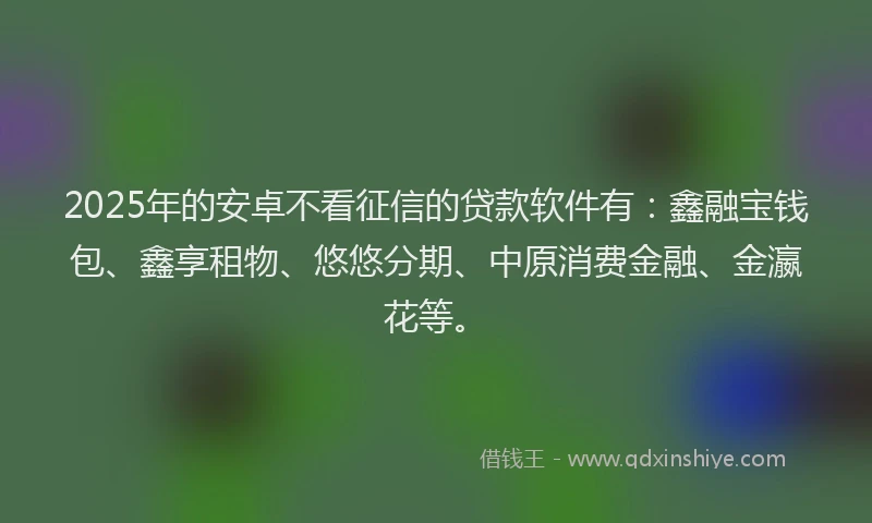 2025年的安卓不看征信的贷款软件有：鑫融宝钱包、鑫享租物、悠悠分期、中原消费金融、金瀛花等。