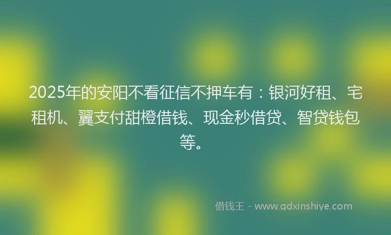2025年的安阳不看征信不押车有：银河好租、宅租机、翼支付甜橙借钱、现金秒借贷、智贷钱包等。