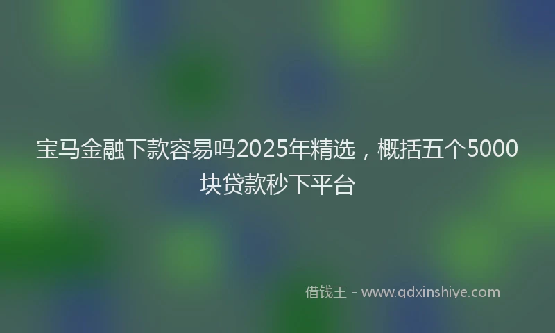 宝马金融下款容易吗2025年精选，概括五个5000块贷款秒下平台