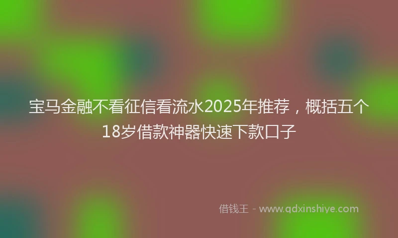 宝马金融不看征信看流水2025年推荐，概括五个18岁借款神器快速下款口子