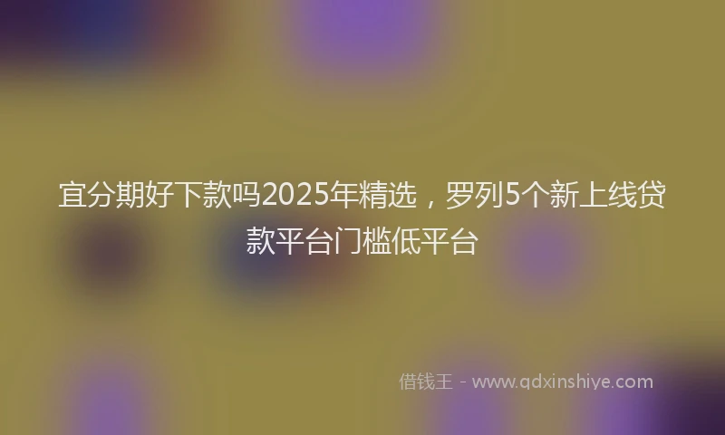 宜分期好下款吗2025年精选，罗列5个新上线贷款平台门槛低平台