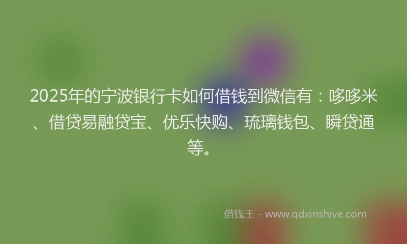 2025年的宁波银行卡如何借钱到微信有：哆哆米、借贷易融贷宝、优乐快购、琉璃钱包、瞬贷通等。