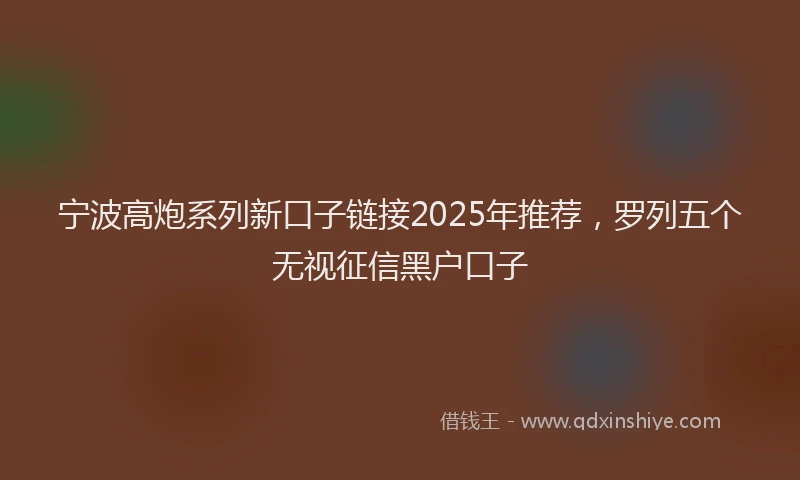 宁波高炮系列新口子链接2025年推荐，罗列五个无视征信黑户口子