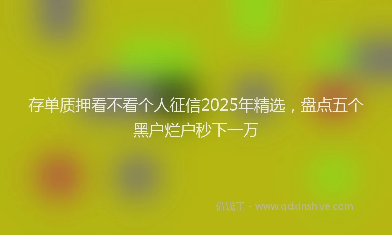 存单质押看不看个人征信2025年精选，盘点五个黑户烂户秒下一万