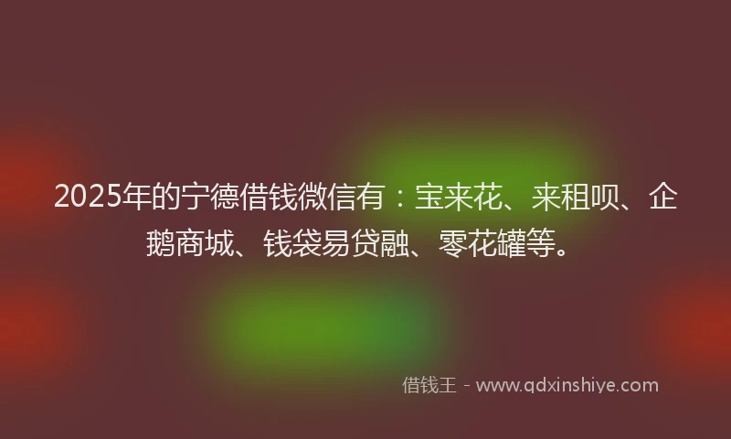 2025年的宁德借钱微信有：宝来花、来租呗、企鹅商城、钱袋易贷融、零花罐等。