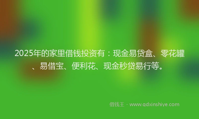 2025年的家里借钱投资有：现金易贷盒、零花罐、易借宝、便利花、现金秒贷易行等。
