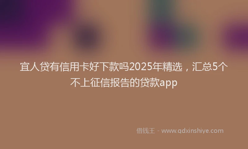 宜人贷有信用卡好下款吗2025年精选，汇总5个不上征信报告的贷款app