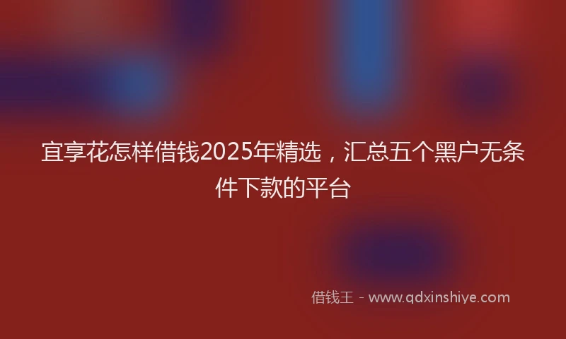 宜享花怎样借钱2025年精选，汇总五个黑户无条件下款的平台