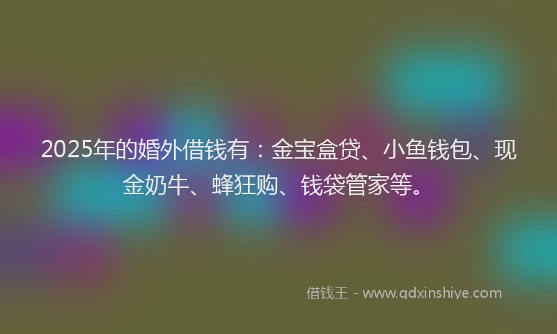 2025年的婚外借钱有：金宝盒贷、小鱼钱包、现金奶牛、蜂狂购、钱袋管家等。