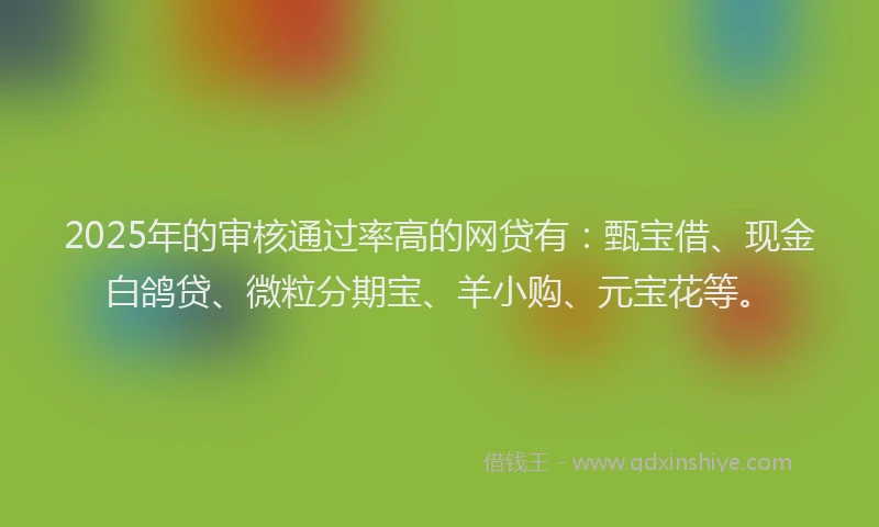 2025年的审核通过率高的网贷有：甄宝借、现金白鸽贷、微粒分期宝、羊小购、元宝花等。