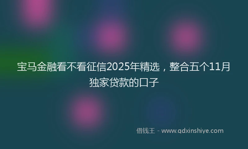 宝马金融看不看征信2025年精选，整合五个11月独家贷款的口子