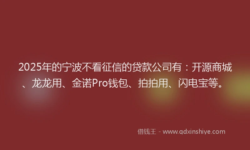 2025年的宁波不看征信的贷款公司有：开源商城、龙龙用、金诺Pro钱包、拍拍用、闪电宝等。