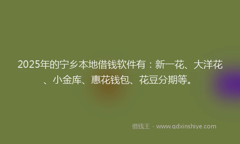 2025年的宁乡本地借钱软件有：新一花、大洋花、小金库、惠花钱包、花豆分期等。