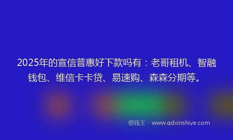 2025年的宣信普惠好下款吗有：老哥租机、智融钱包、维信卡卡贷、易速购、森森分期等。