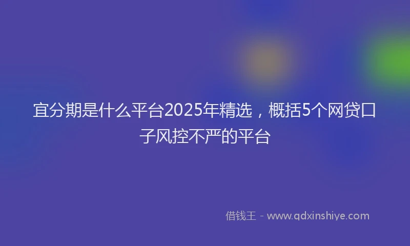 宜分期是什么平台2025年精选，概括5个网贷口子风控不严的平台
