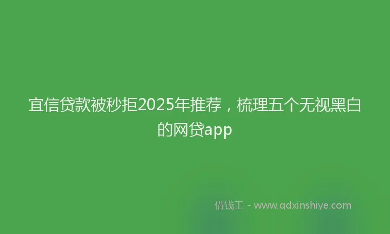宜信贷款被秒拒2025年推荐，梳理五个无视黑白的网贷app