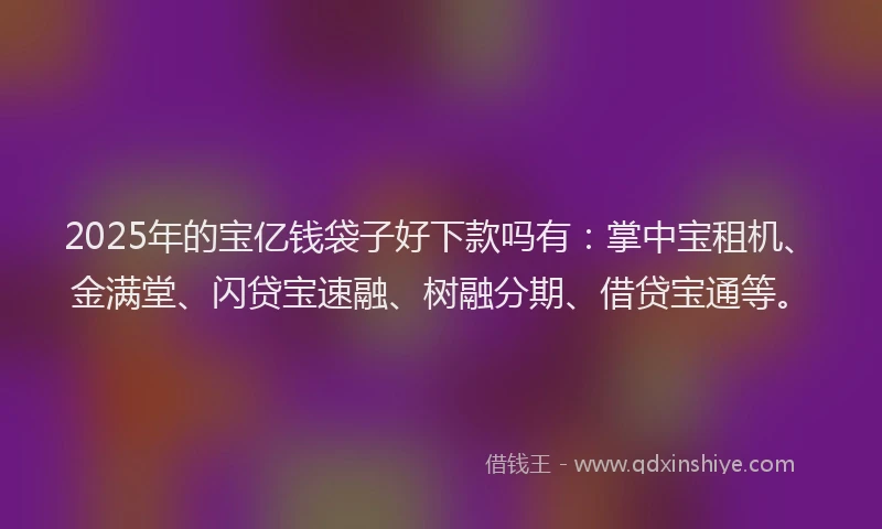 2025年的宝亿钱袋子好下款吗有：掌中宝租机、金满堂、闪贷宝速融、树融分期、借贷宝通等。